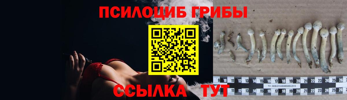 Галлюциногенные грибы Cubensis  Вход с VPN  Галлюциногенные грибы ЛСД  Можайск 